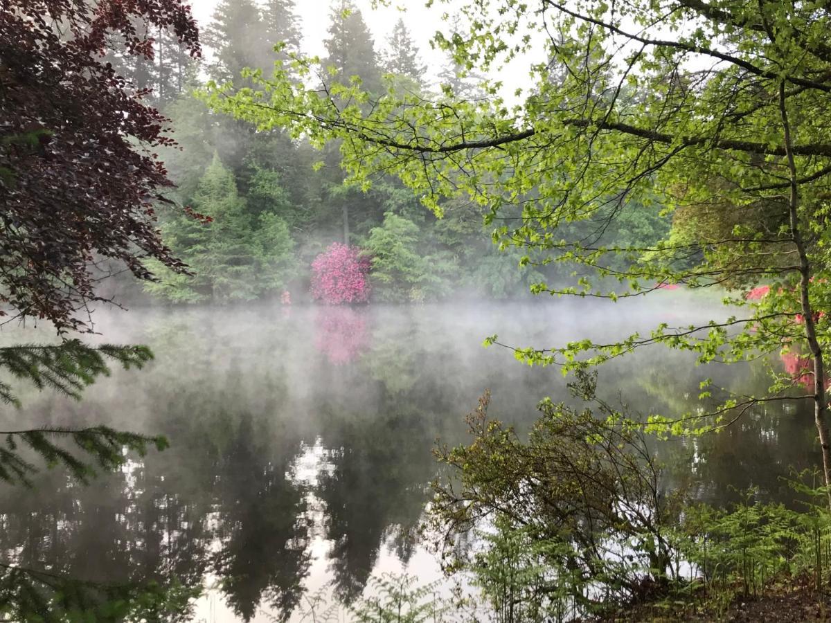 Domaine De Bort Bed & Breakfast Saint-Priest-Taurion Bagian luar foto